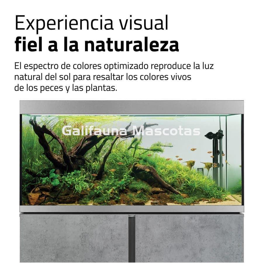 PANTALLAS DE ILUMINACIÓN AQUASKY (RGB+W) - Imagen 5