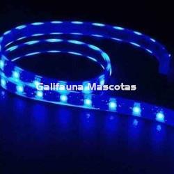 Tira de led Estanca. Azul. Varias medidas. - Imagen 2