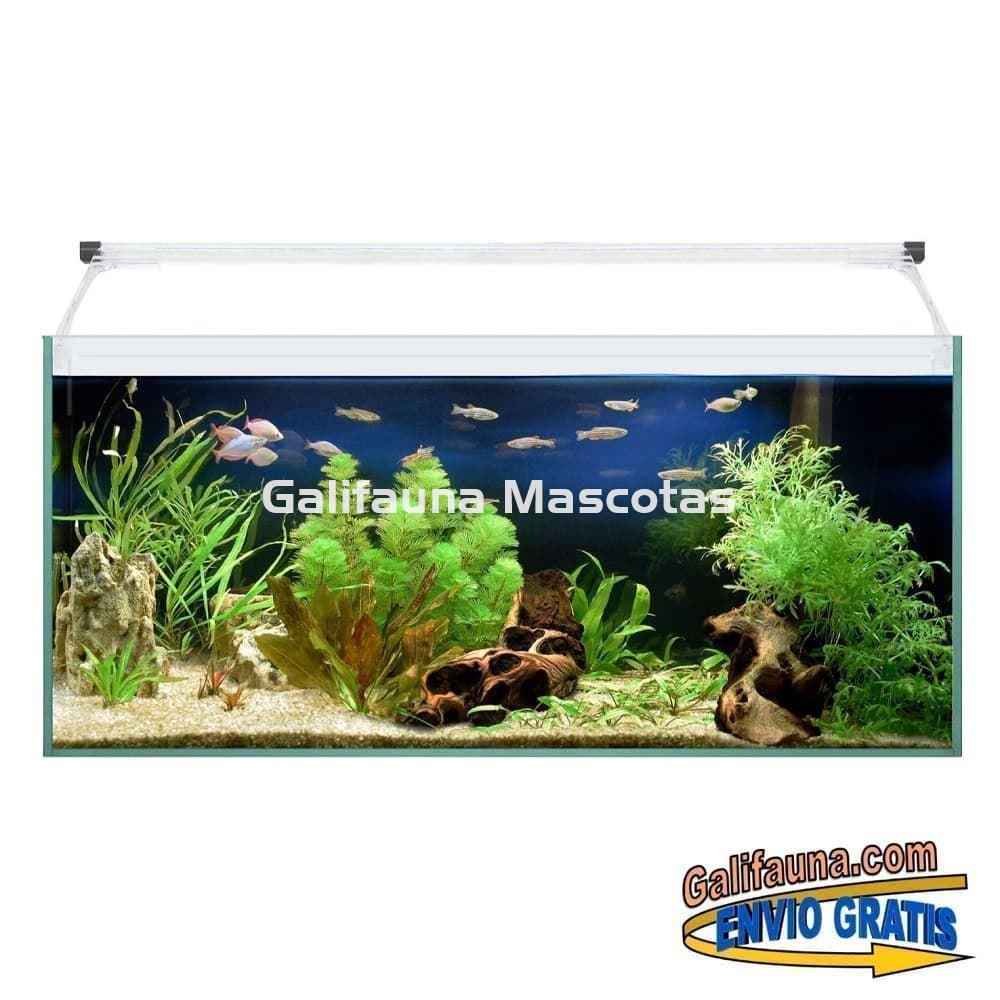 Acuario kit AQUALIGHT GLASS 80.  "Vive el mundo del aquascape". - Imagen 1