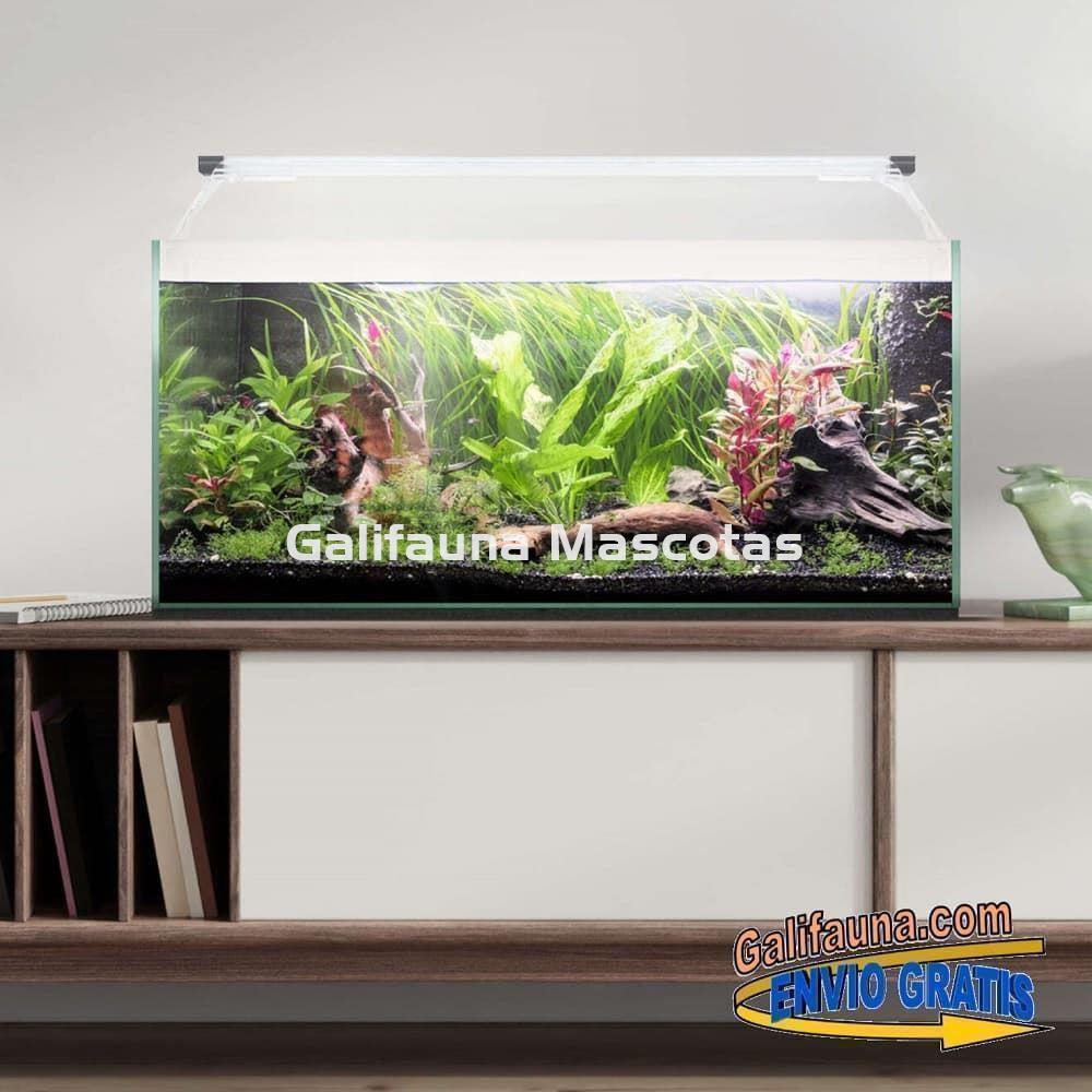 Acuario kit AQUALIGHT GLASS 80.  "Vive el mundo del aquascape". - Imagen 2