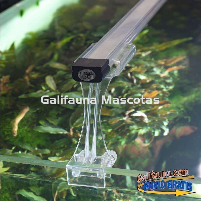 Acuario kit AQUALIGHT GLASS 80.  "Vive el mundo del aquascape". - Imagen 3