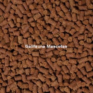 Alimento para ajolotes AXOLOTL DAJANA - Imagen 2