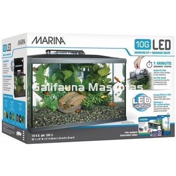 Filtro de esponja para acuario, bomba de limpieza de agua, filtración de  agua baja para anfibios, reptiles, tortugas, filtro, sistema de filtración  , Filtro único de 2,5 Filtro único de 25 W