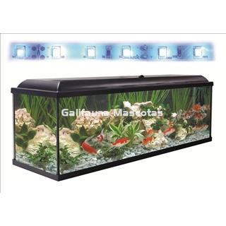 Kit acuario + Mesa Aqua-LED 240 litros. ACUARIO + MESA AQUA STAND - Imagen 2