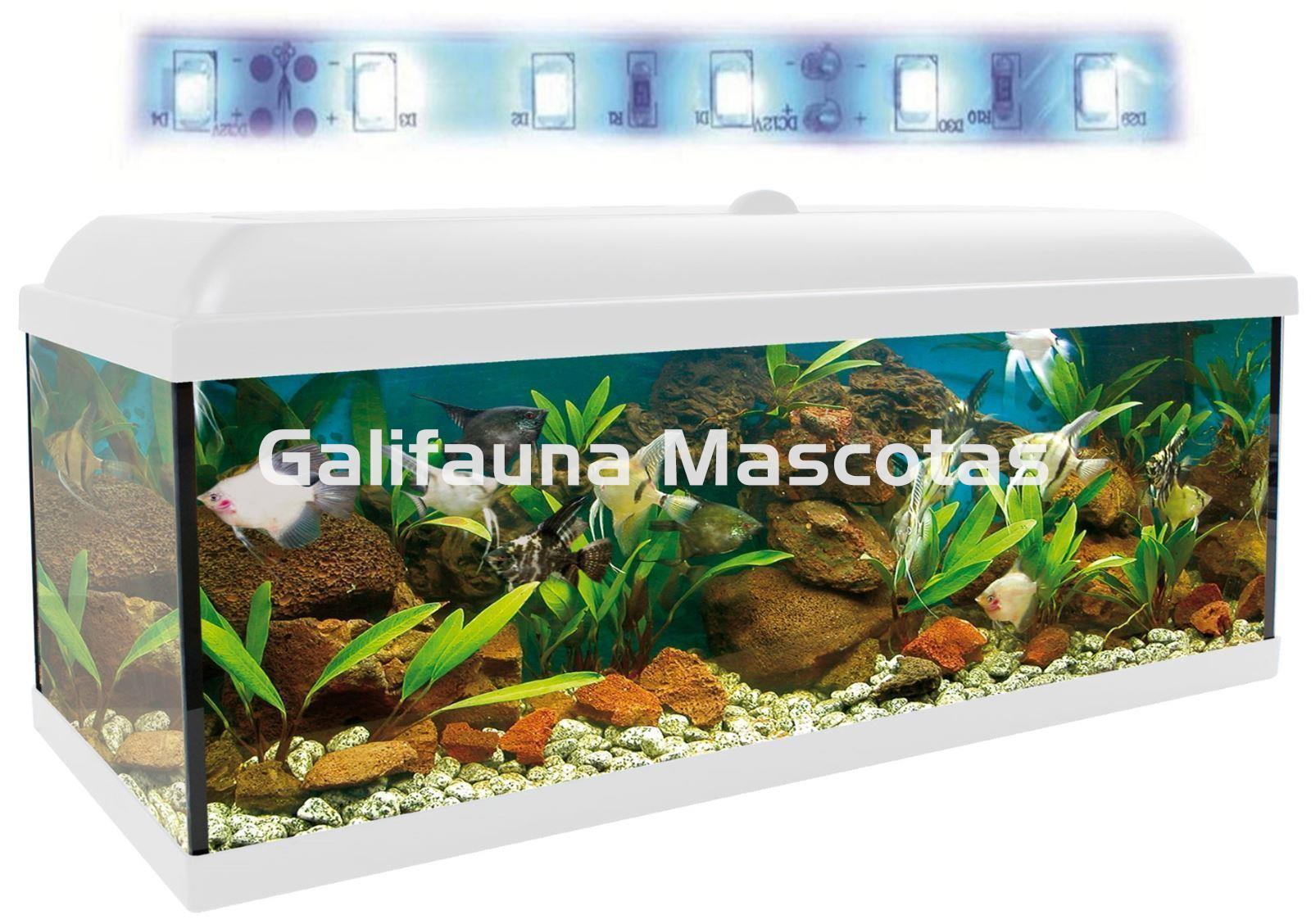 Luz LED para acuarios 45/65cm, 3 colores por 16,99€ antes 33,99€.