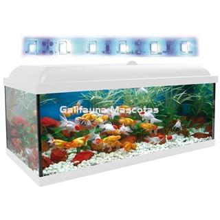 Kit acuario + Mesa Aqua-LED 300 litros. ACUARIO + MESA AQUA STAND - Imagen 2