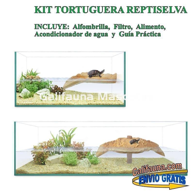 Tortugueras y Terrarios  Kits Completos y más - Verdecora