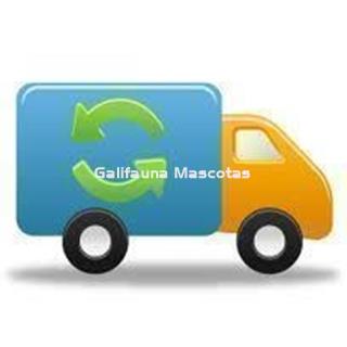 PORTES, RECOGIDAS Y ENTREGAS ESPECIALES - Imagen 1