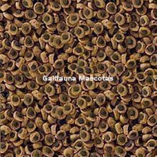 SERA Herbivor 10 litros . Alimentacion para Reptiles herbivoros - Imagen 2