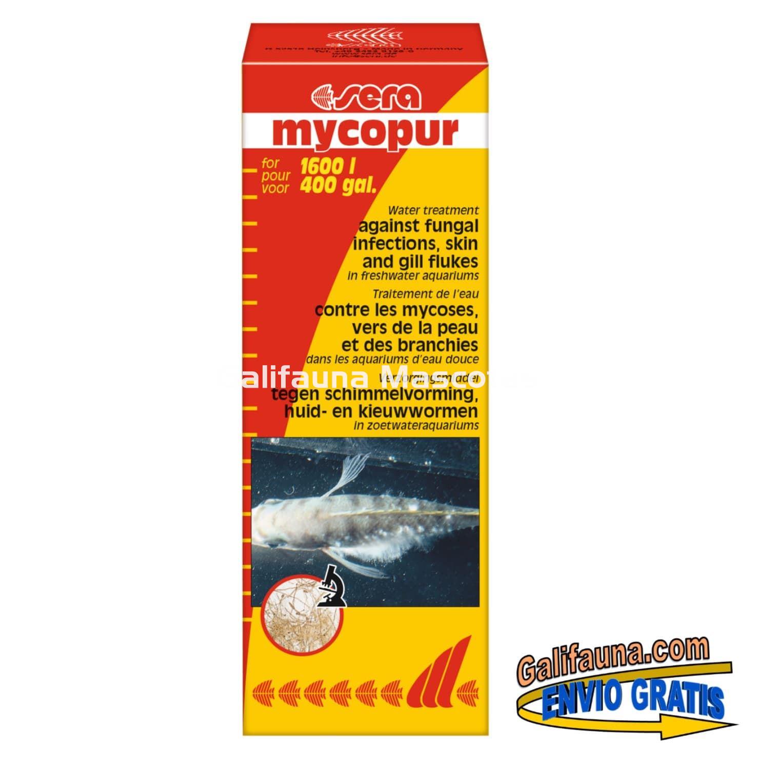 SERA Mycopur 100 ml. Medicacion contra Hongos - Imagen 1