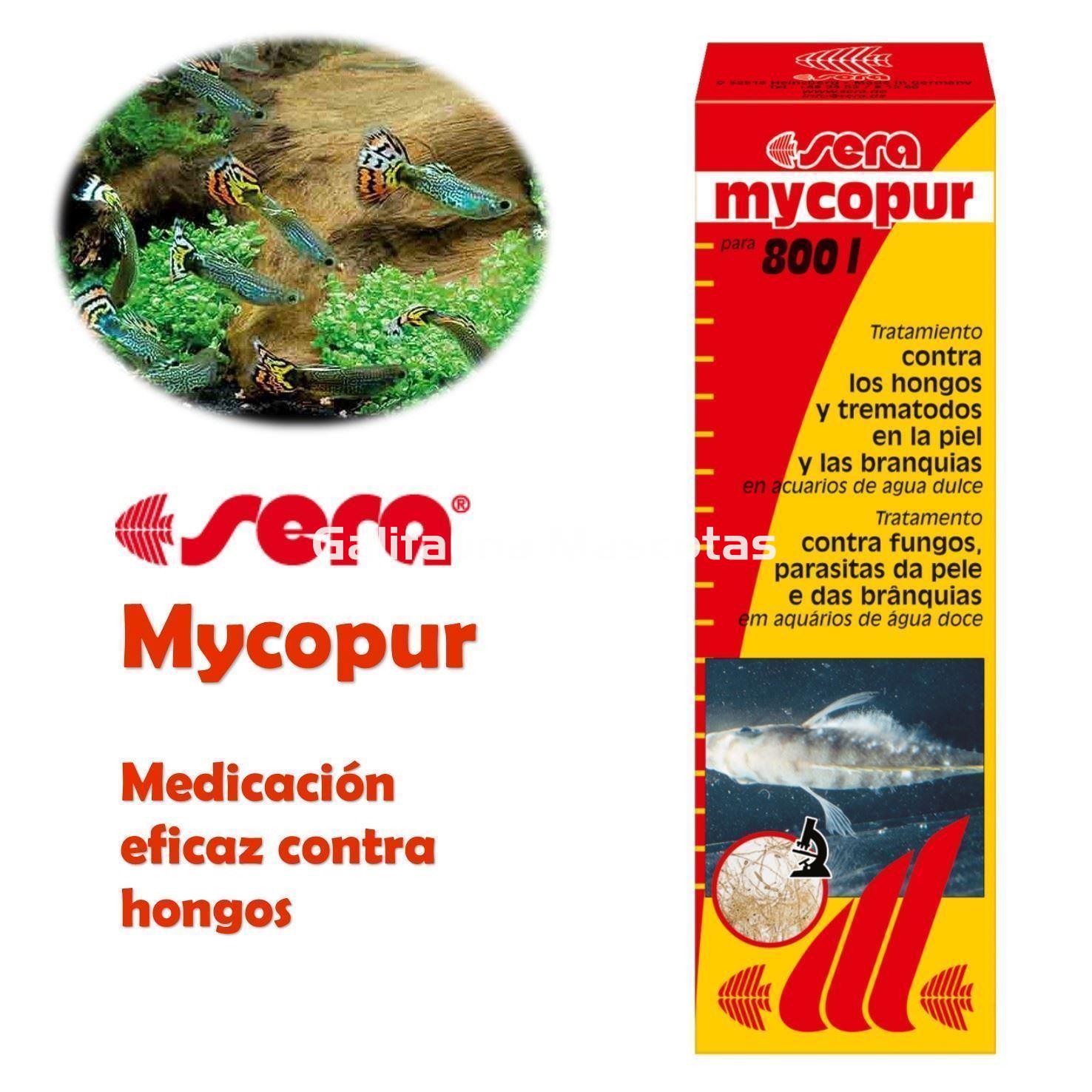 SERA Mycopur 100 ml. Medicacion contra Hongos - Imagen 2