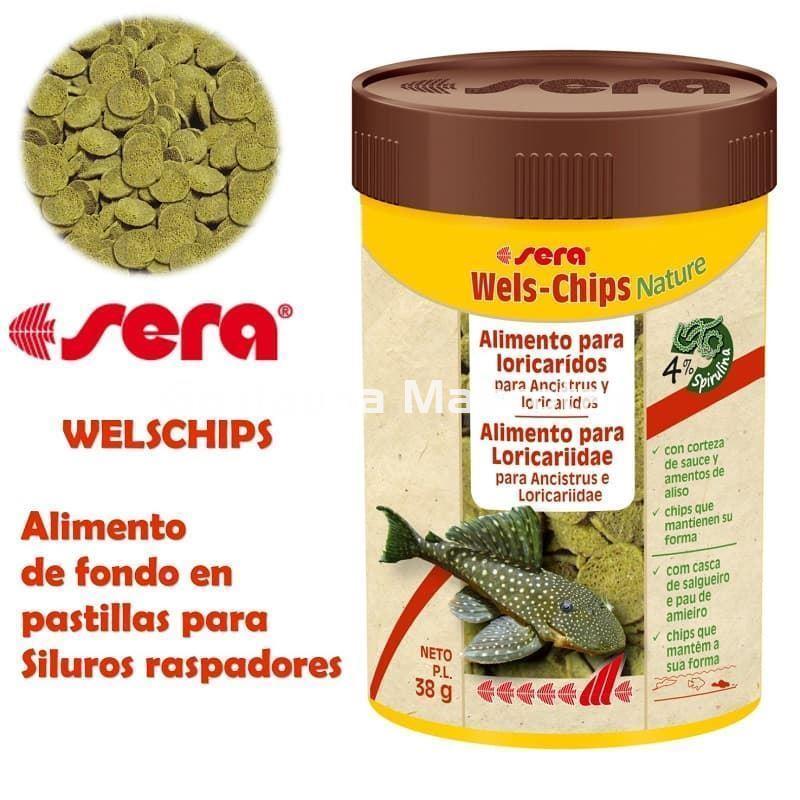 Sera Wels-Chips 100 ml. Para siluros raspadores.