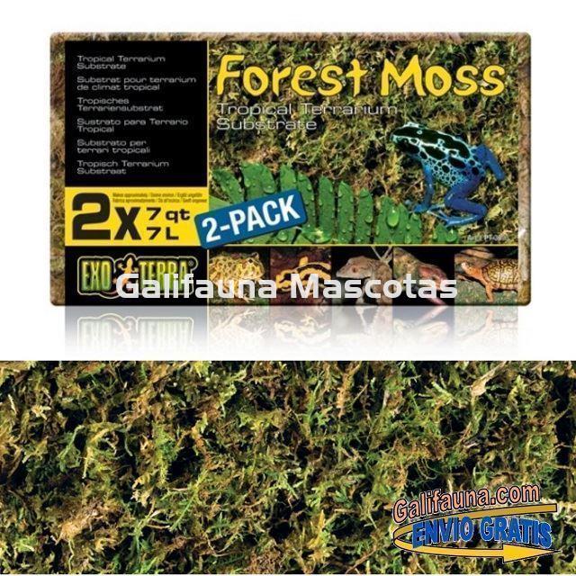 Exo Terra Forest Moss Tropical Terrarium Reptile Substrate