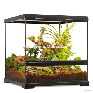 Terrario pequeño de cristal - Exo Terra Pro Terrarium de Cristal Exo Terra XS - Imagen 2
