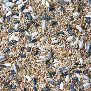 VITPRO Cotorras, Agapornis y Ninfas. Alimento super premium para aves. - Imagen 2